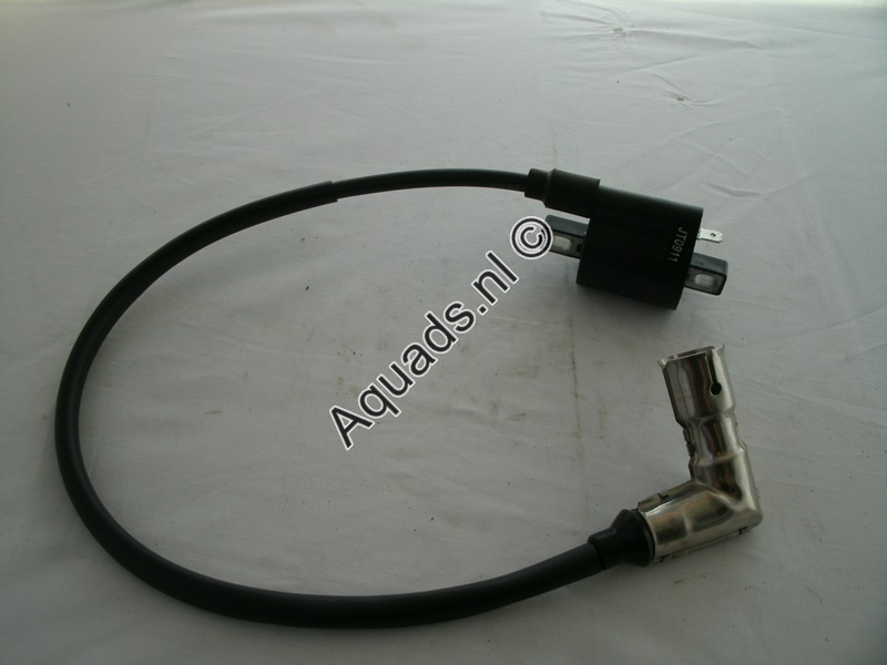 Ignition coil  Bashan